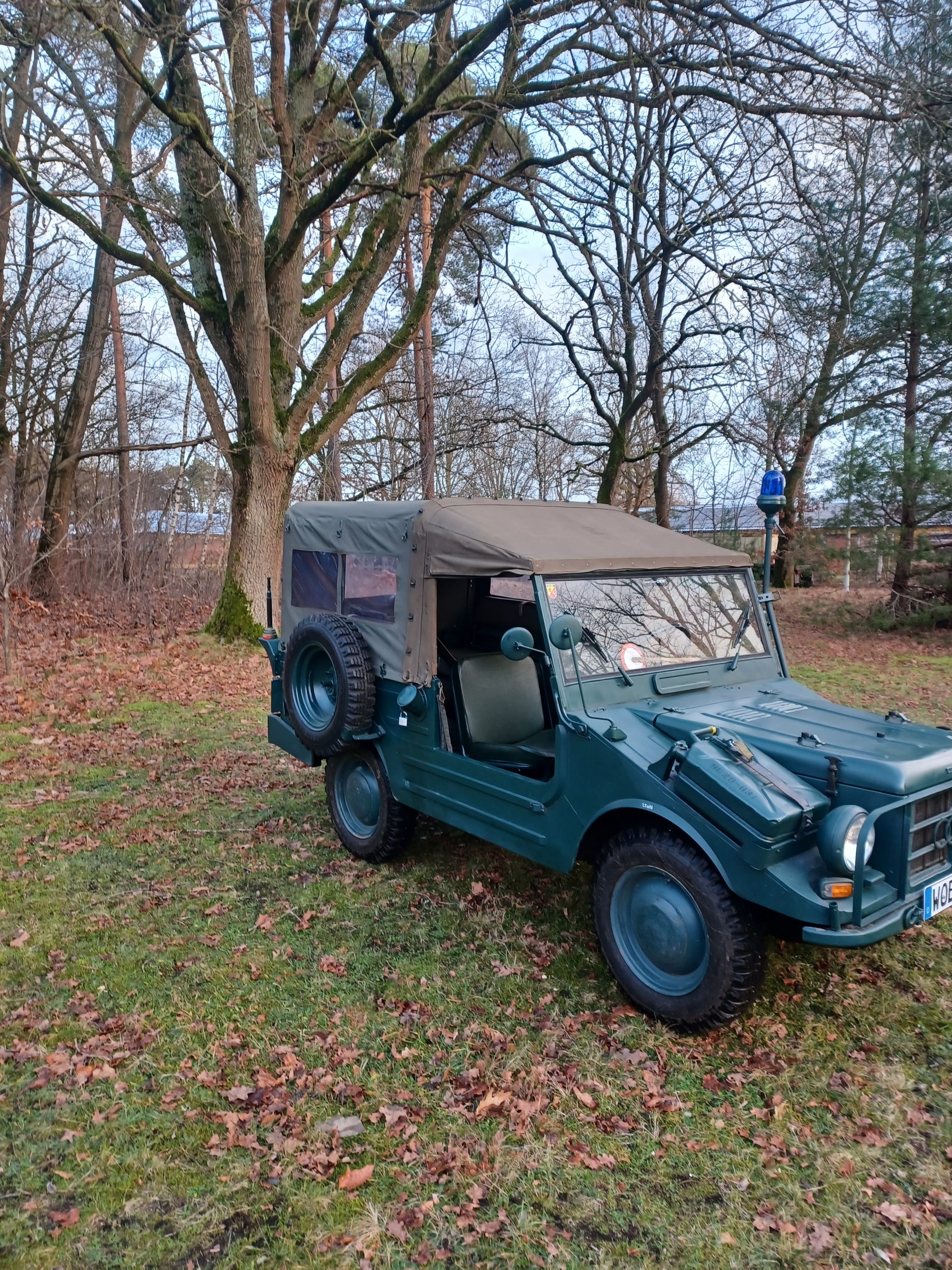 Autounion DKW Munga 8 Seitenansicht